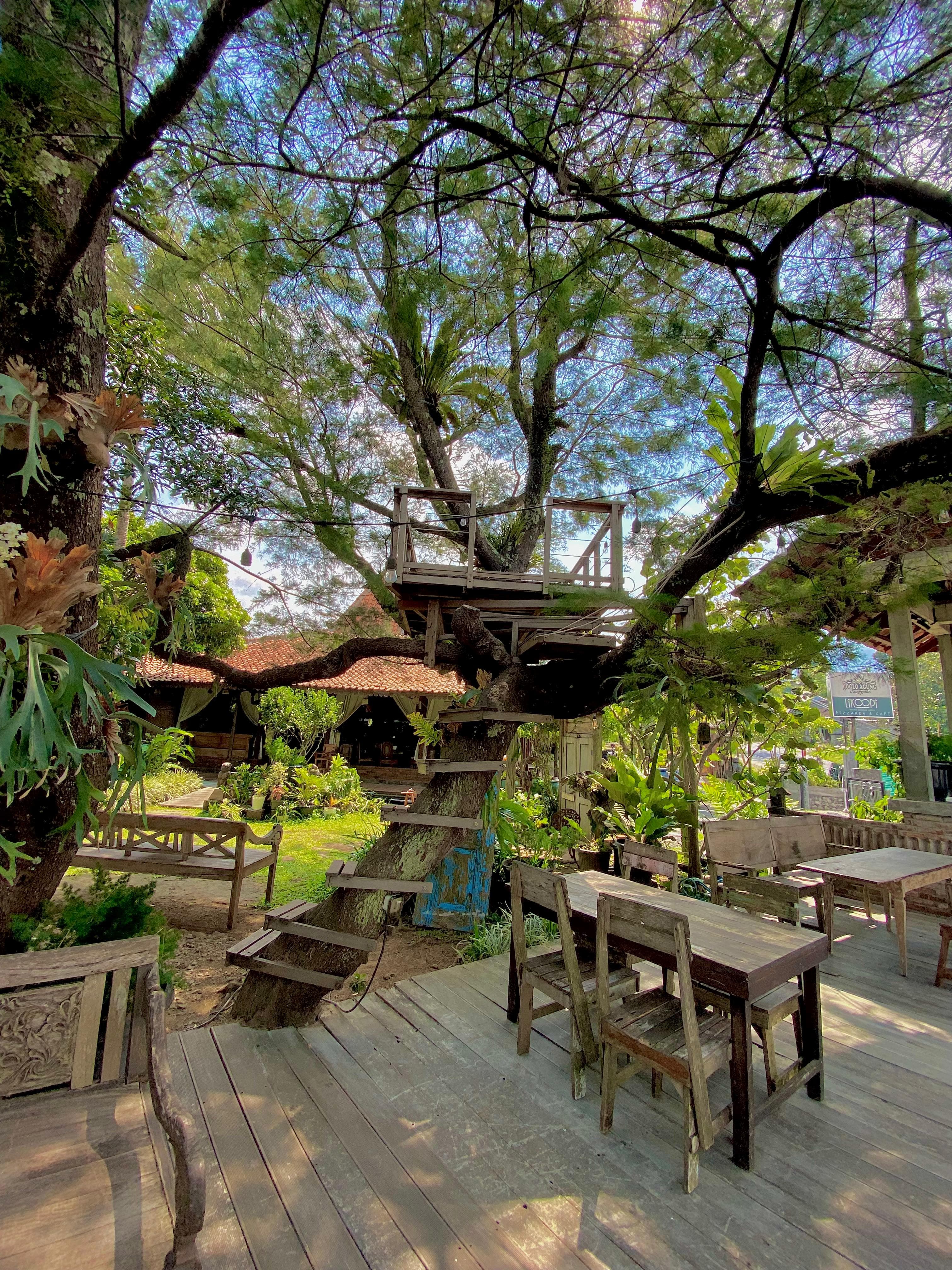 Jogloagung Gallery 5